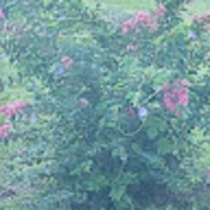 Meet your Posher, Michelle l